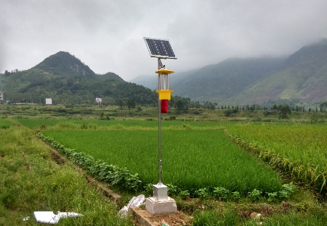 太阳能杀虫灯助力农业虫害防治