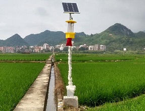 太阳能杀虫灯护东港农场千亩稻田