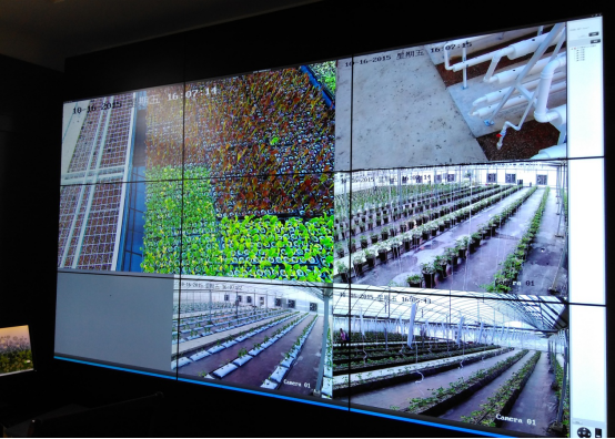 智能農業物聯網監控系統