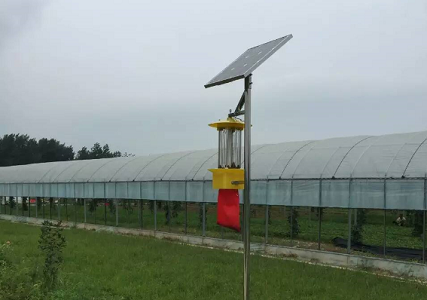 太阳能杀虫灯