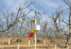 晓塘乡柑橘种植基地引进云飞10台太阳能杀虫灯