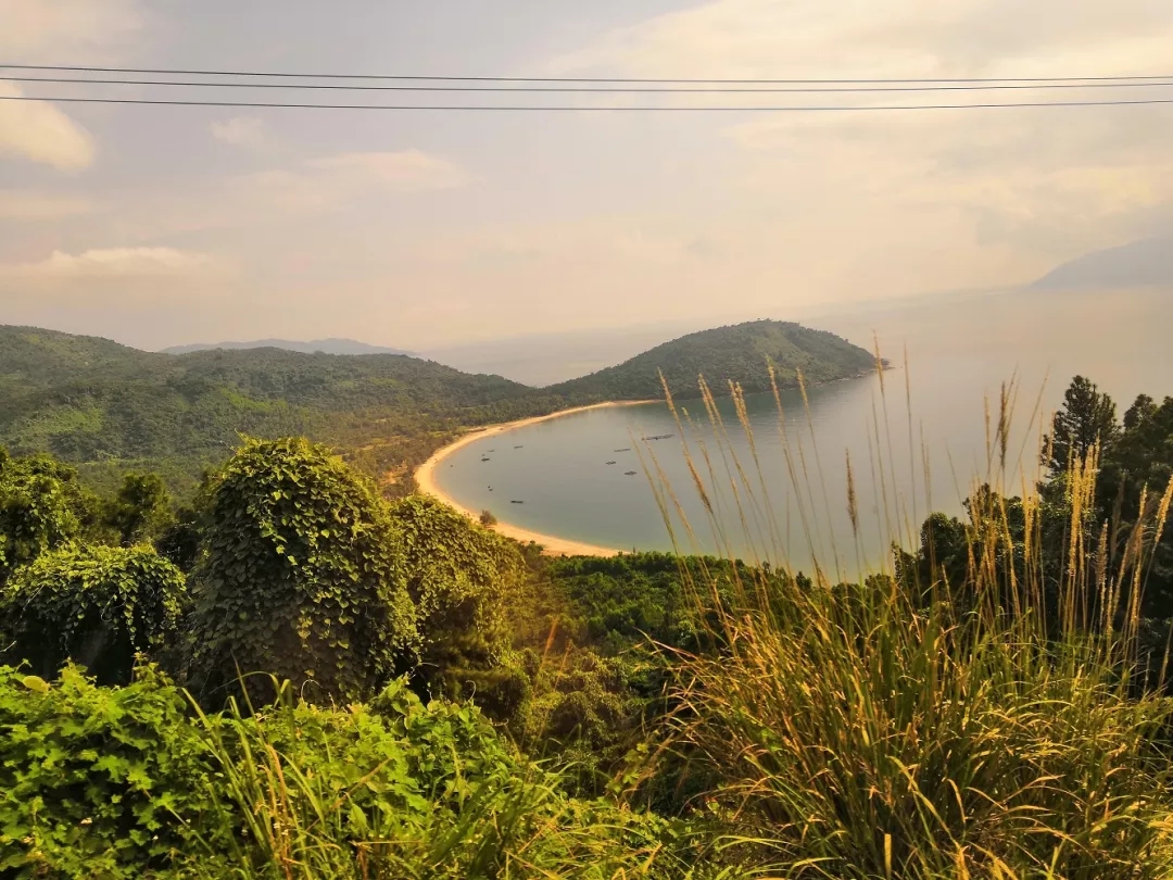 美丽的山茶半岛