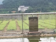 安化县植保站利用云飞高空测报灯指导草地贪科学防控